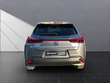 UX 250 h STYLE Edition 15J-GARANTIE