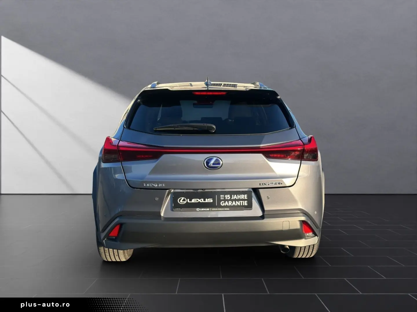 UX 250 h STYLE Edition 15J-GARANTIE