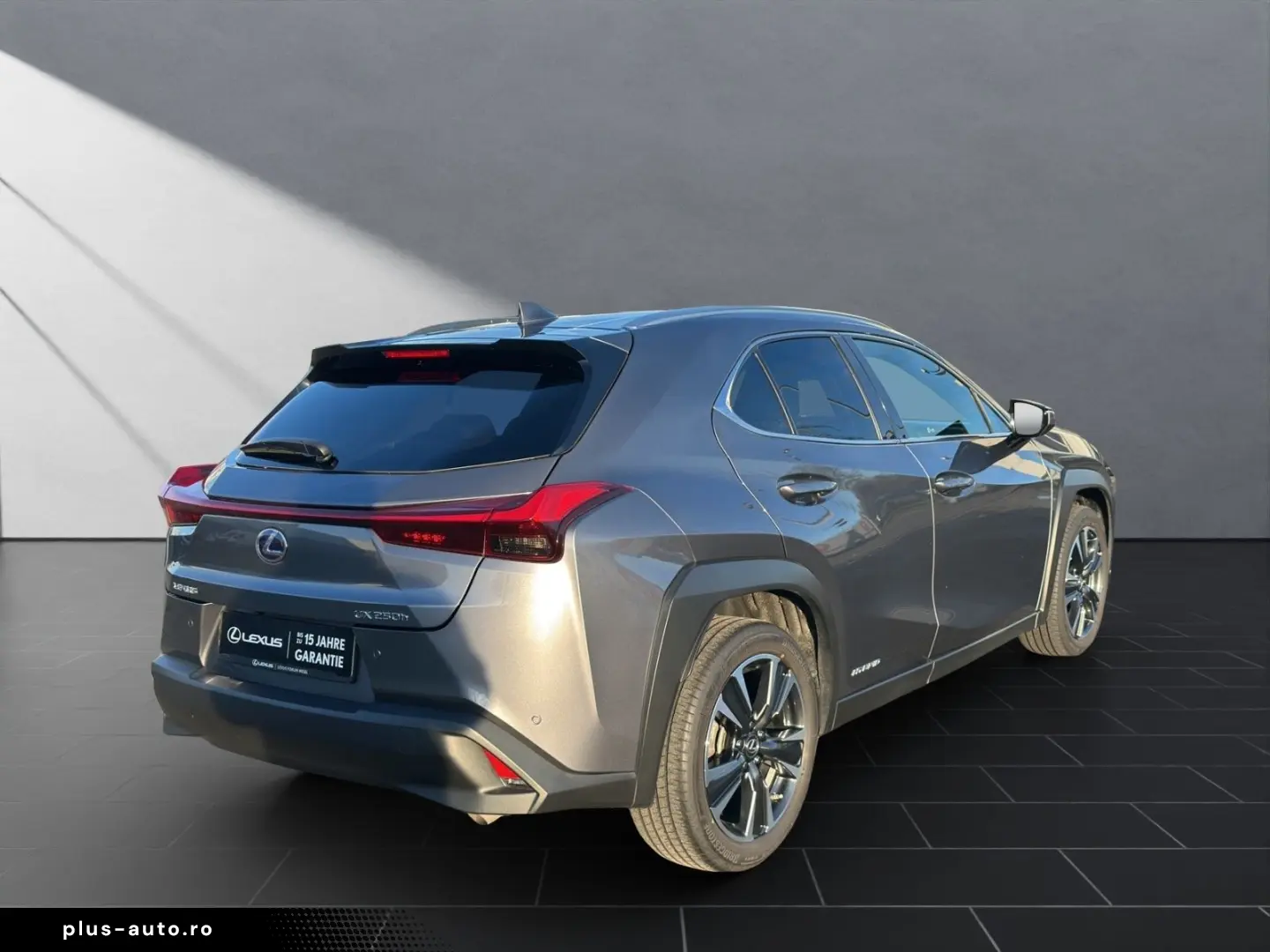 UX 250 h STYLE Edition 15J-GARANTIE