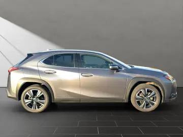 UX 250 h STYLE Edition 15J-GARANTIE
