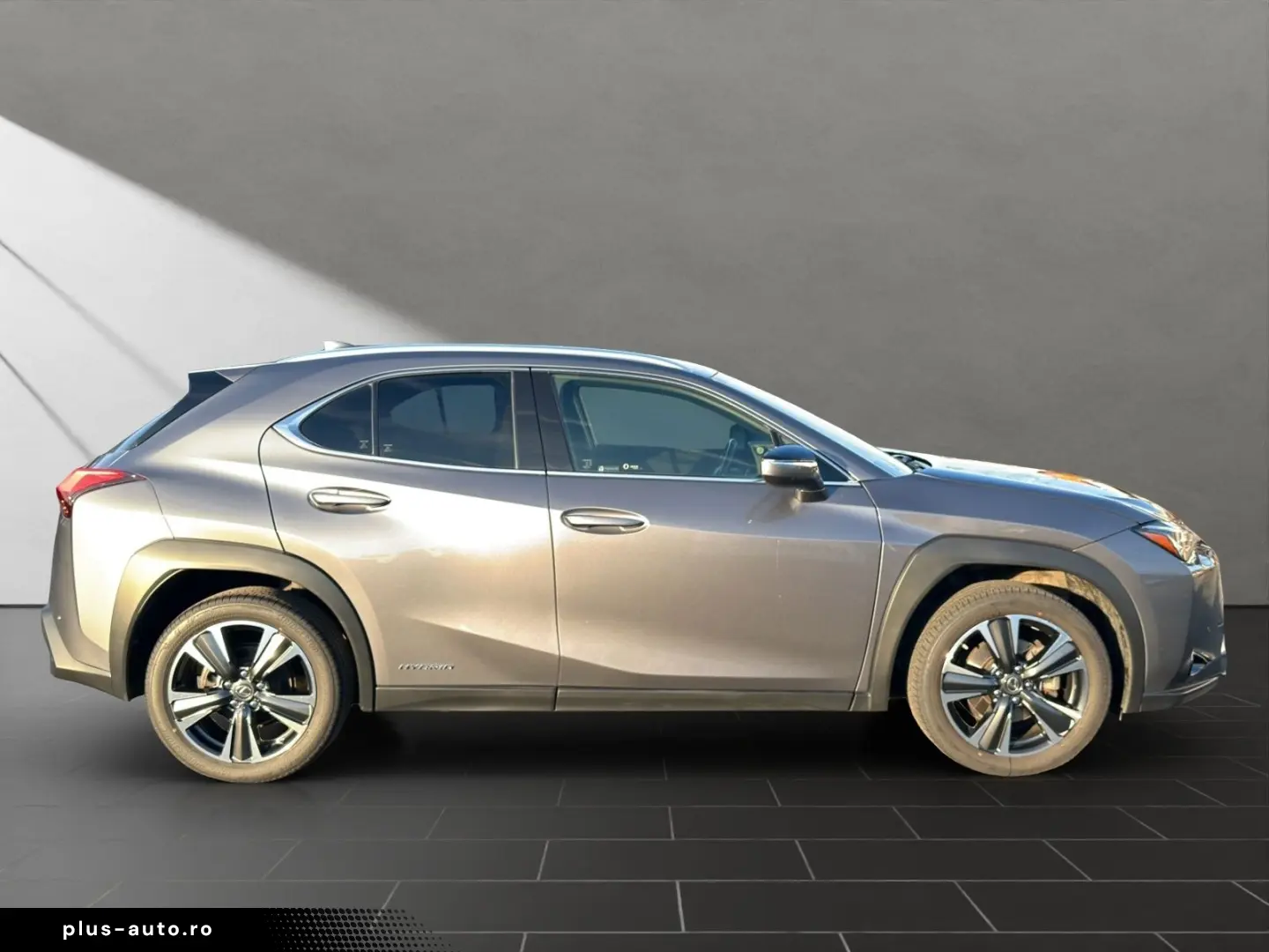 UX 250 h STYLE Edition 15J-GARANTIE