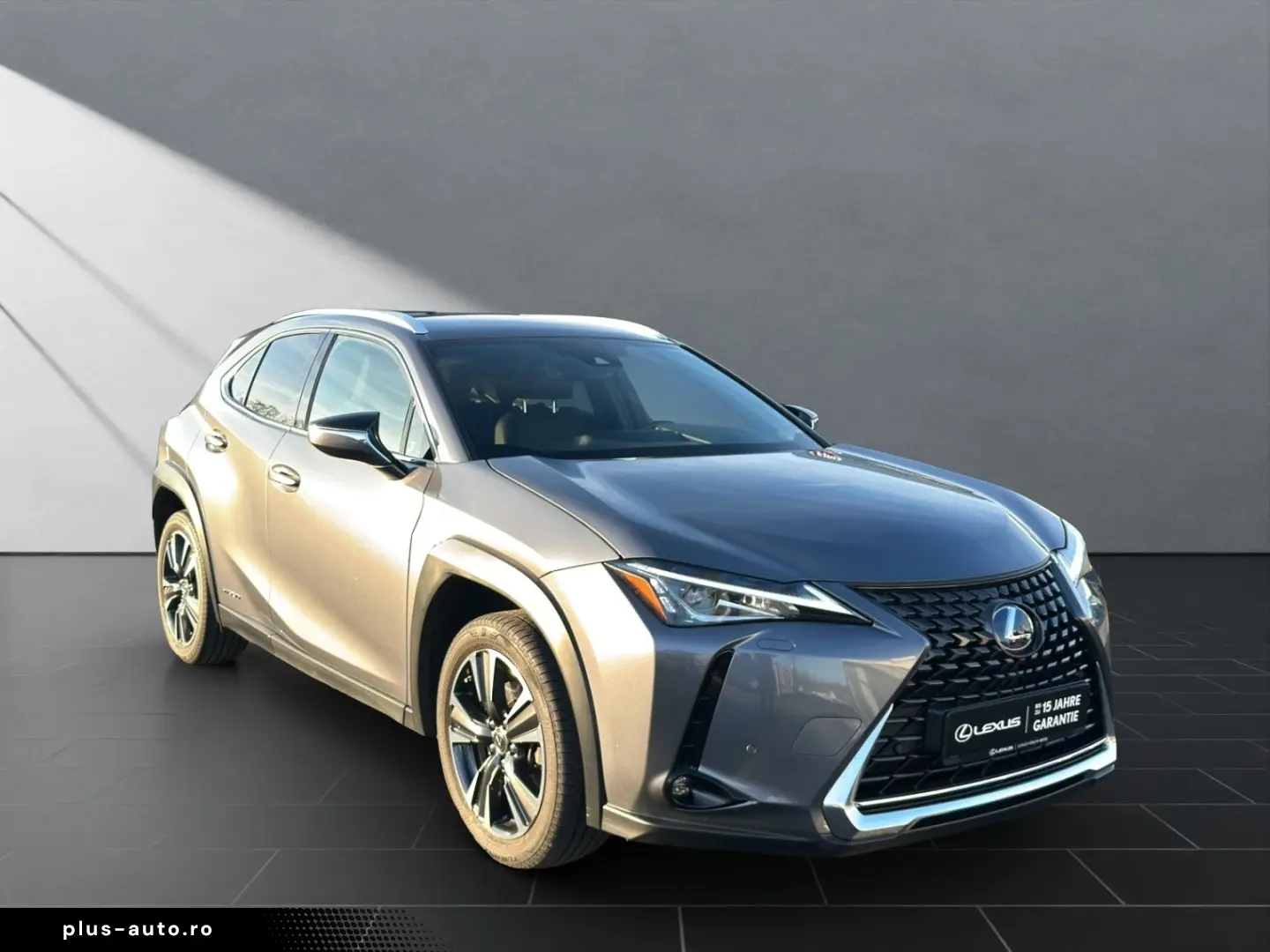 UX 250 h STYLE Edition 15J-GARANTIE