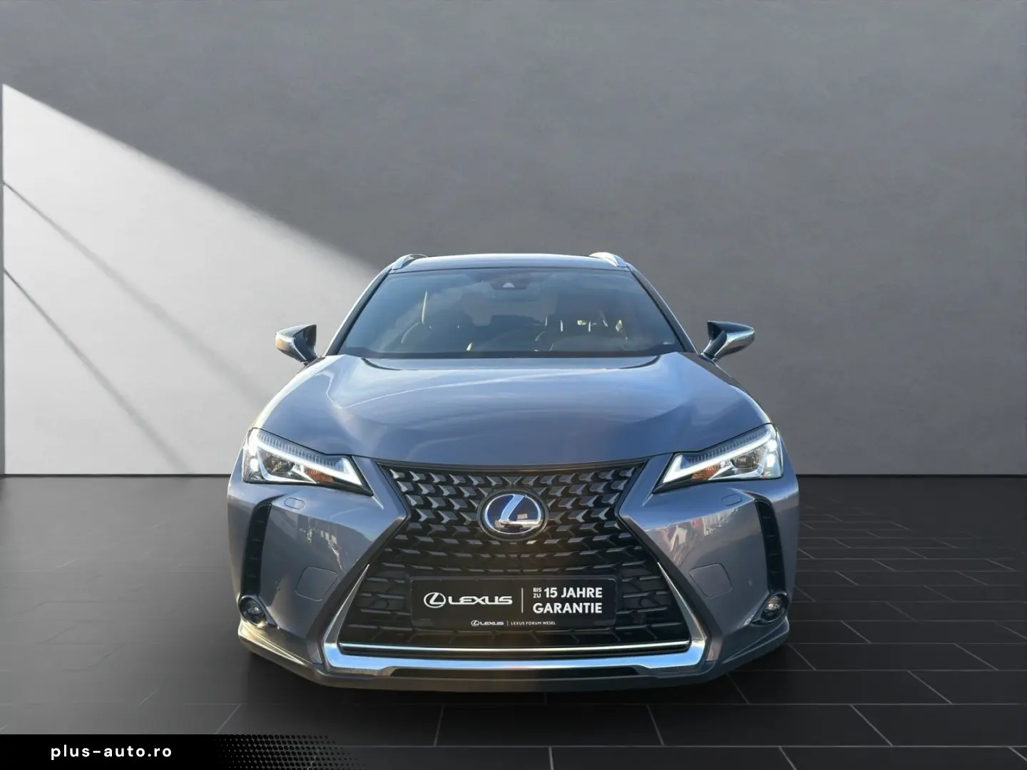 UX 250 h STYLE Edition 15J-GARANTIE