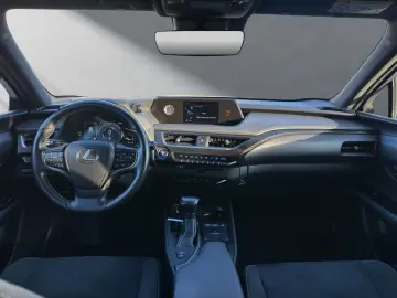 UX 250 h STYLE Edition 15J-GARANTIE