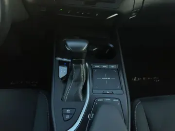 UX 250 h STYLE Edition 15J-GARANTIE