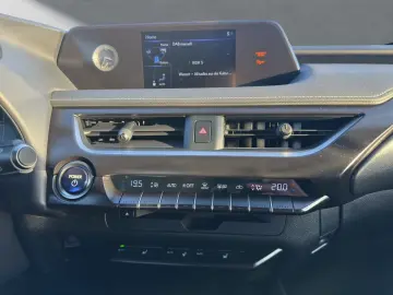 UX 250 h STYLE Edition 15J-GARANTIE