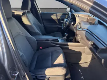 UX 250 h STYLE Edition 15J-GARANTIE