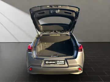 UX 250 h STYLE Edition 15J-GARANTIE