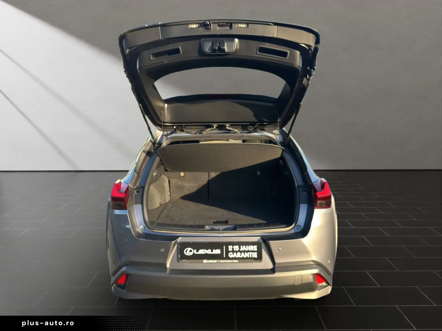 UX 250 h STYLE Edition 15J-GARANTIE