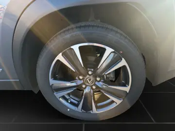 UX 250 h STYLE Edition 15J-GARANTIE