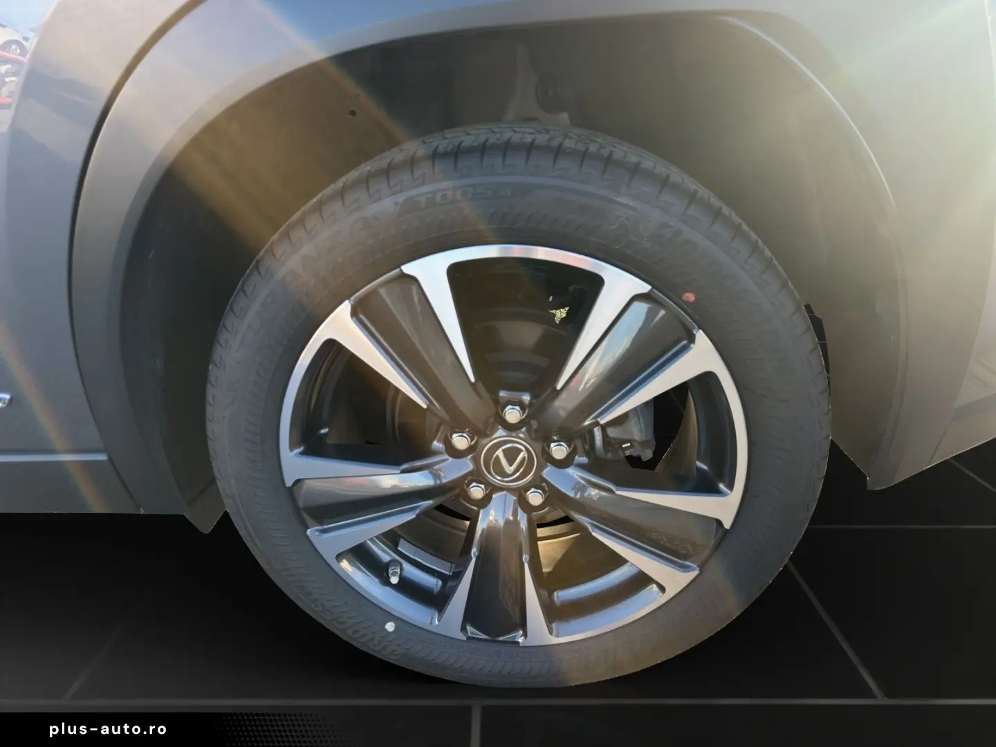 UX 250 h STYLE Edition 15J-GARANTIE