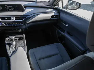 UX 250h Style Edition LENKRADHEIZUNG LED Carplay