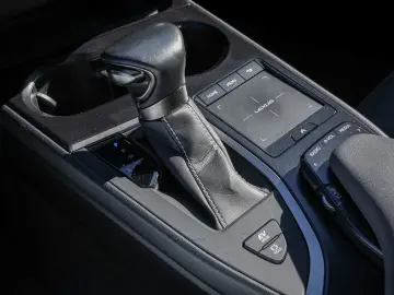 UX 250h Style Edition LENKRADHEIZUNG LED Carplay