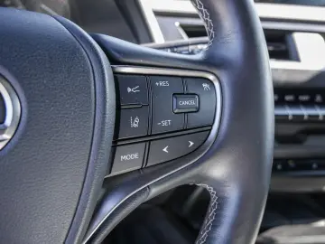 UX 250h Style Edition LENKRADHEIZUNG LED Carplay