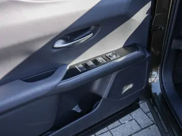 UX 250h Style Edition LENKRADHEIZUNG LED Carplay