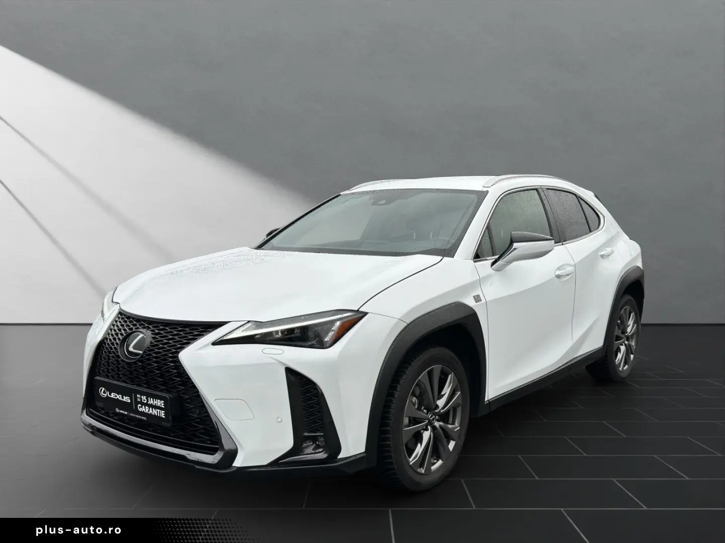 UX 250h F-SPORT-D. 1.HD ALLW.REIF   15J-GARANTIE