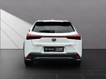 UX 250h F-SPORT-D. 1.HD ALLW.REIF   15J-GARANTIE