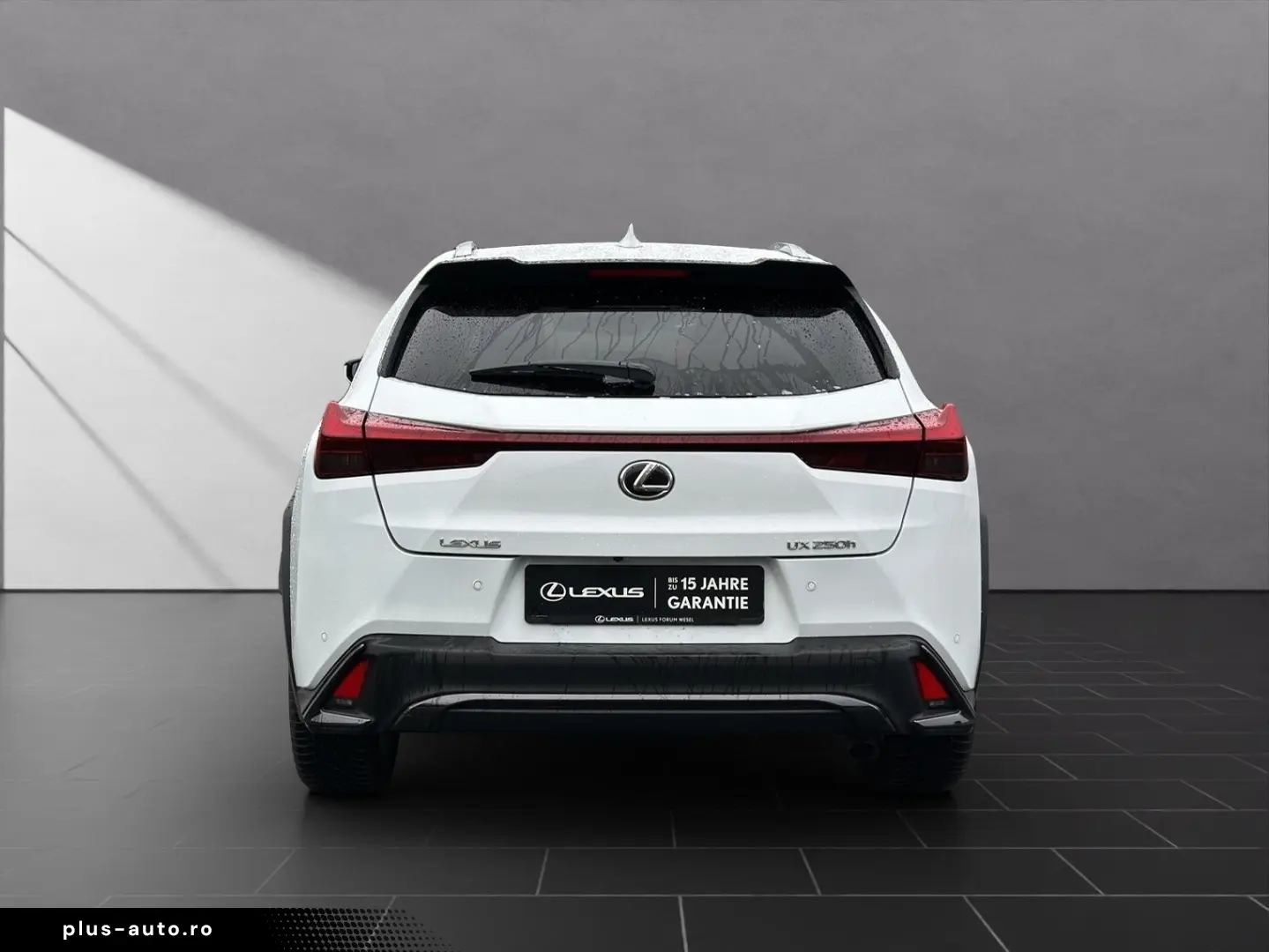 UX 250h F-SPORT-D. 1.HD ALLW.REIF   15J-GARANTIE