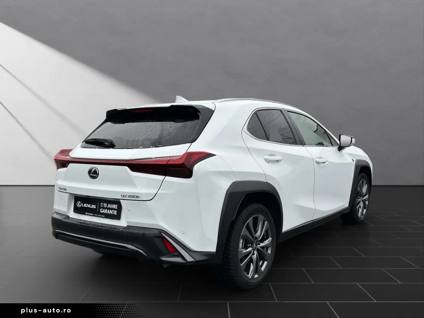 UX 250h F-SPORT-D. 1.HD ALLW.REIF   15J-GARANTIE