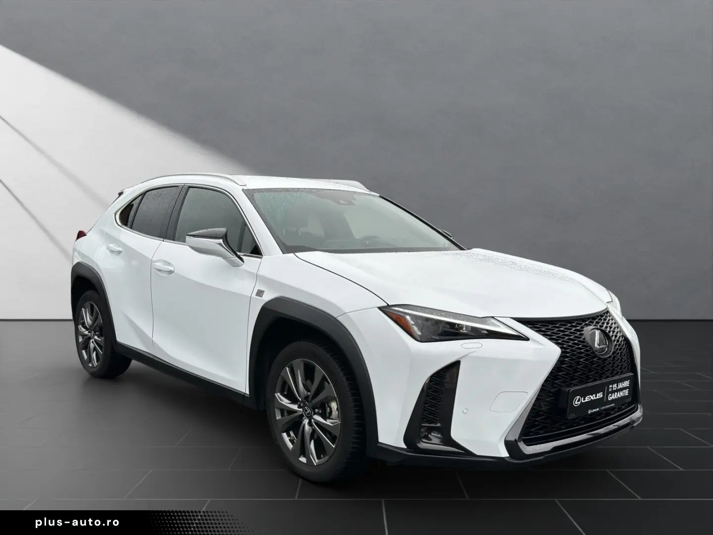 UX 250h F-SPORT-D. 1.HD ALLW.REIF   15J-GARANTIE