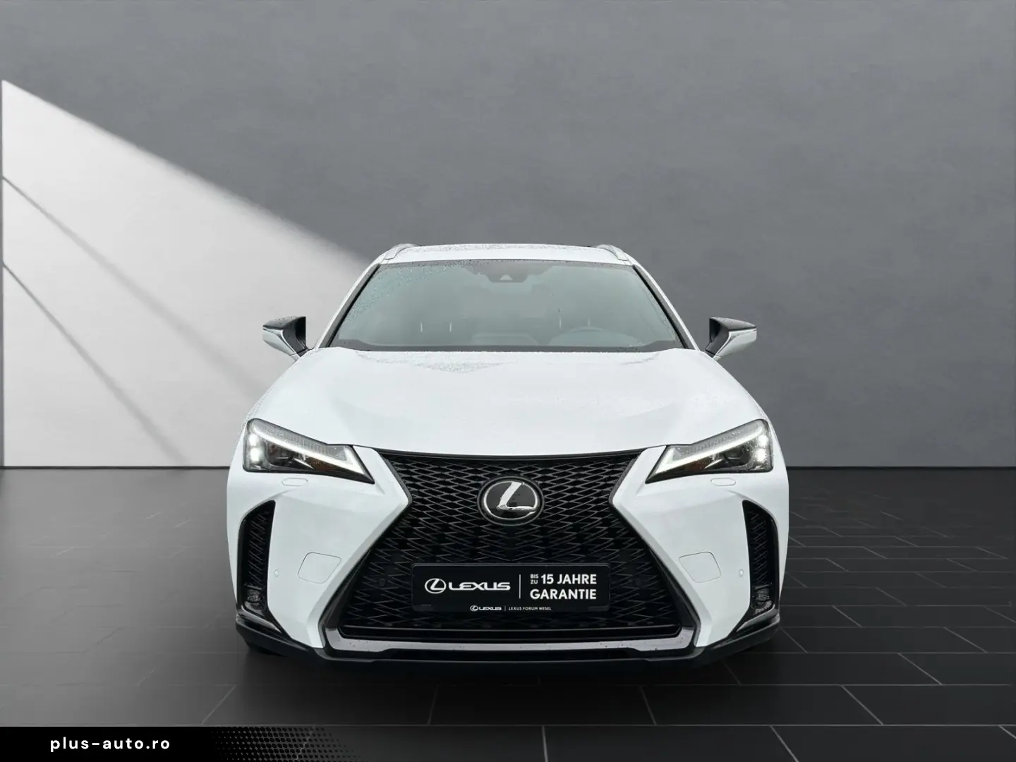 UX 250h F-SPORT-D. 1.HD ALLW.REIF   15J-GARANTIE