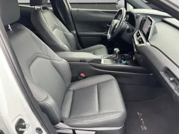 UX 250h F-SPORT-D. 1.HD ALLW.REIF   15J-GARANTIE