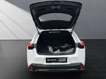 UX 250h F-SPORT-D. 1.HD ALLW.REIF   15J-GARANTIE