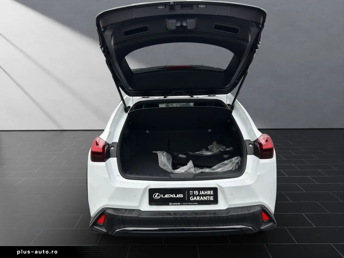 UX 250h F-SPORT-D. 1.HD ALLW.REIF   15J-GARANTIE