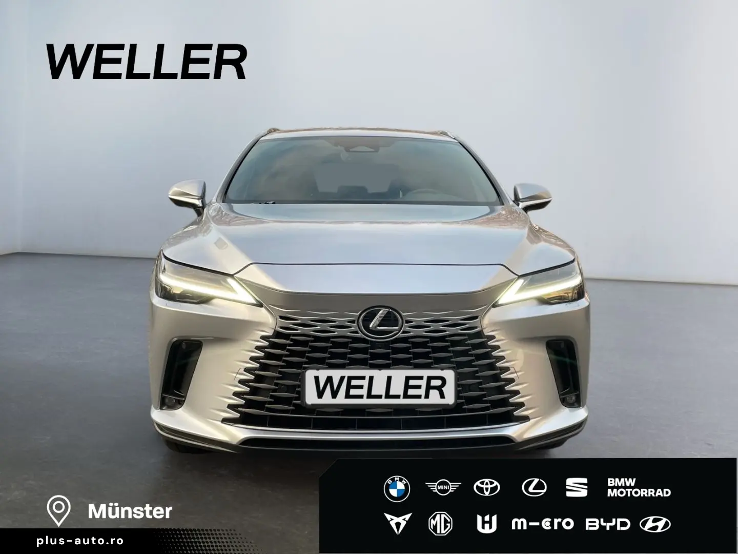 RX 350 h Executive Line  21'' Nachtsicht HUD 360