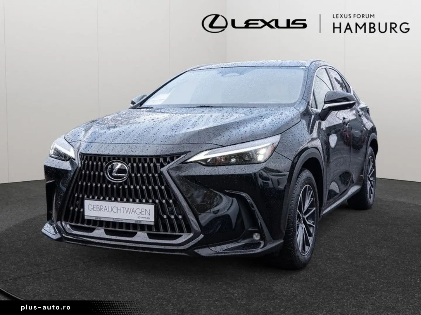 NX 450h   Executive ACC LED 360  Interieur-Pak.