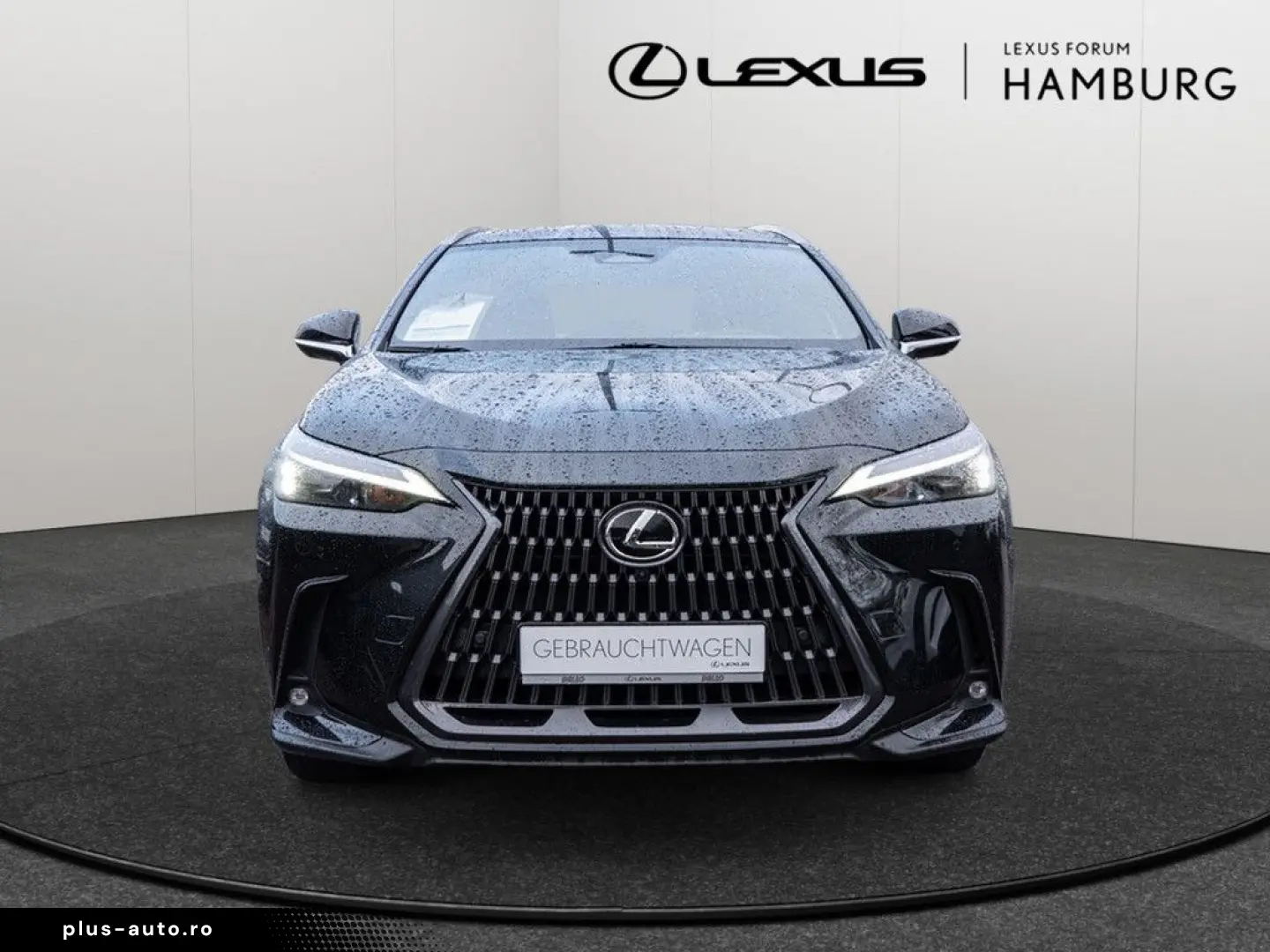 NX 450h   Executive ACC LED 360  Interieur-Pak.