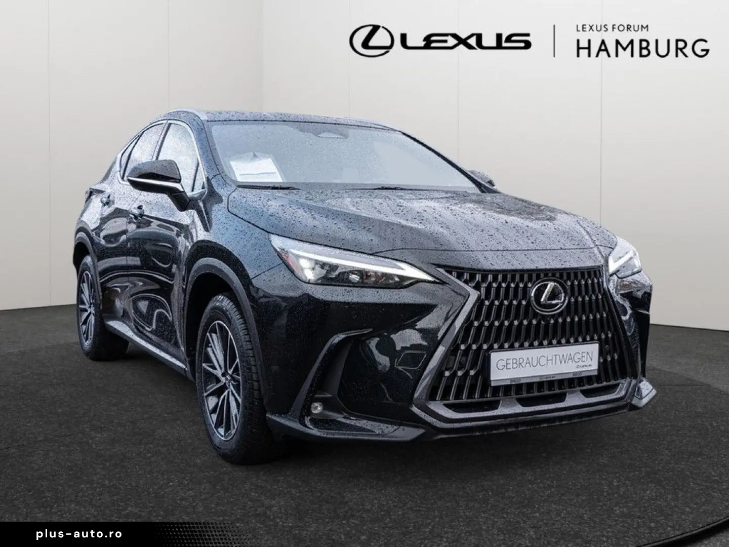 NX 450h   Executive ACC LED 360  Interieur-Pak.