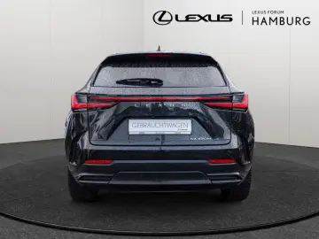 NX 450h   Executive ACC LED 360  Interieur-Pak.