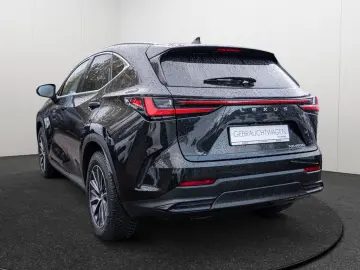 NX 450h   Executive ACC LED 360  Interieur-Pak.