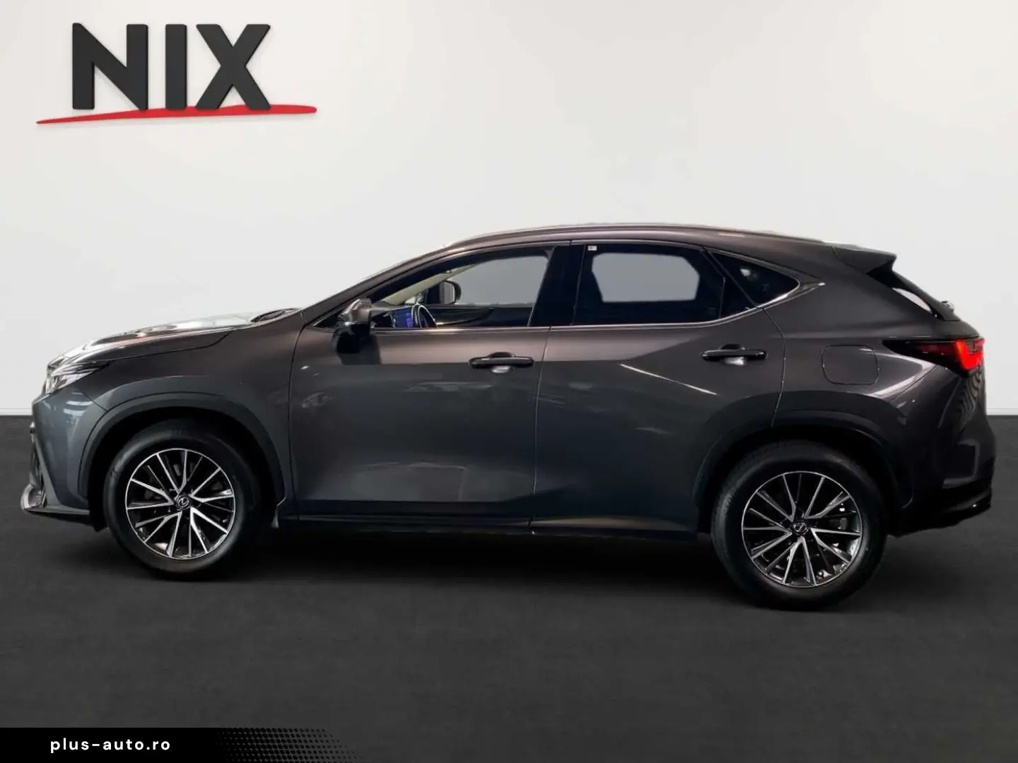 NX 450h  E-FOUR Business KAMERA  NAVI