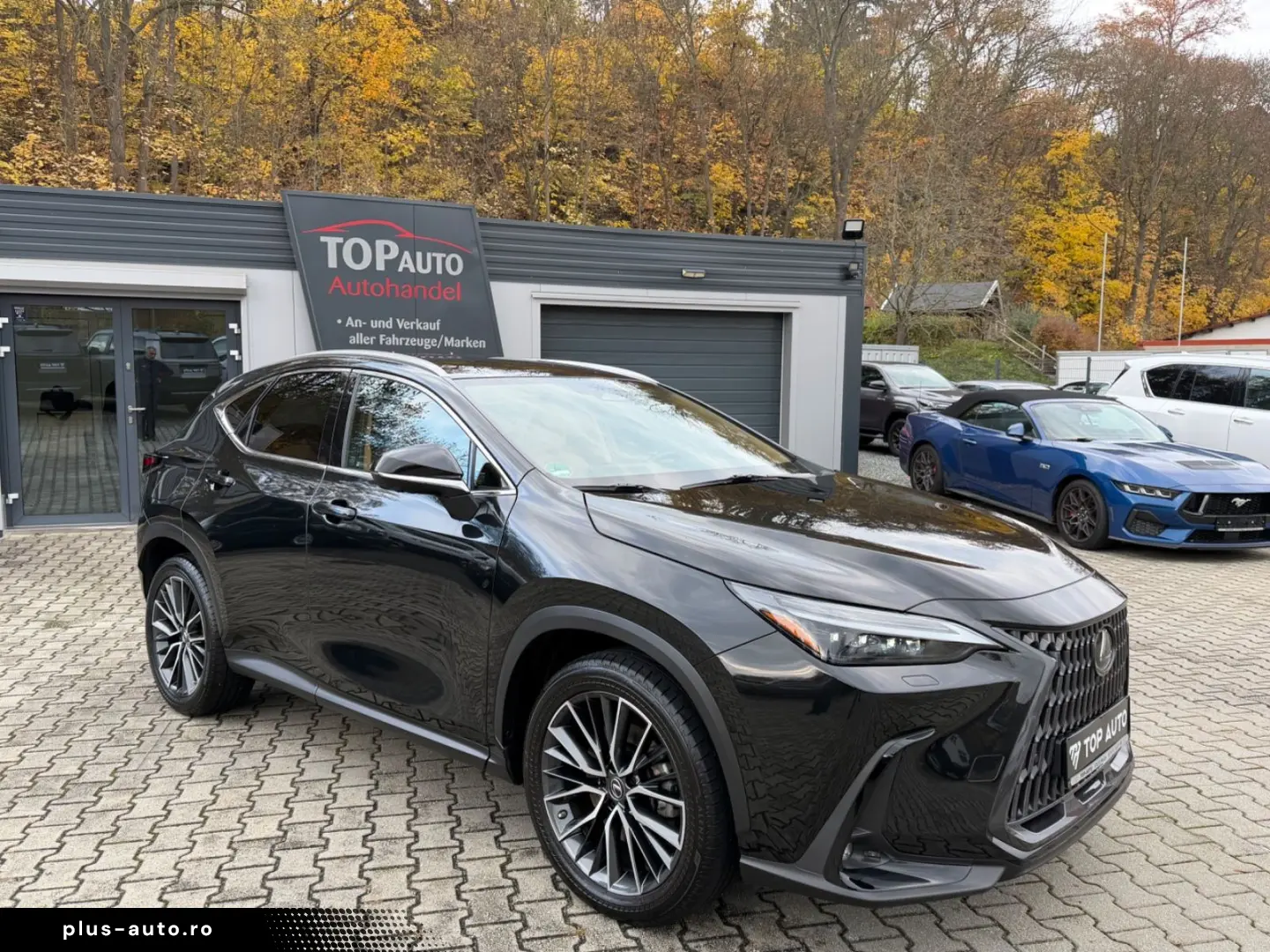 NX 450 h  E-Four.Luxury.ACC.Leder.360g.Kamera.