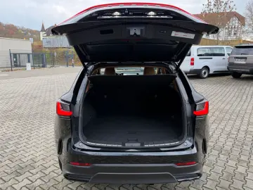 NX 450 h  E-Four.Luxury.ACC.Leder.360g.Kamera.