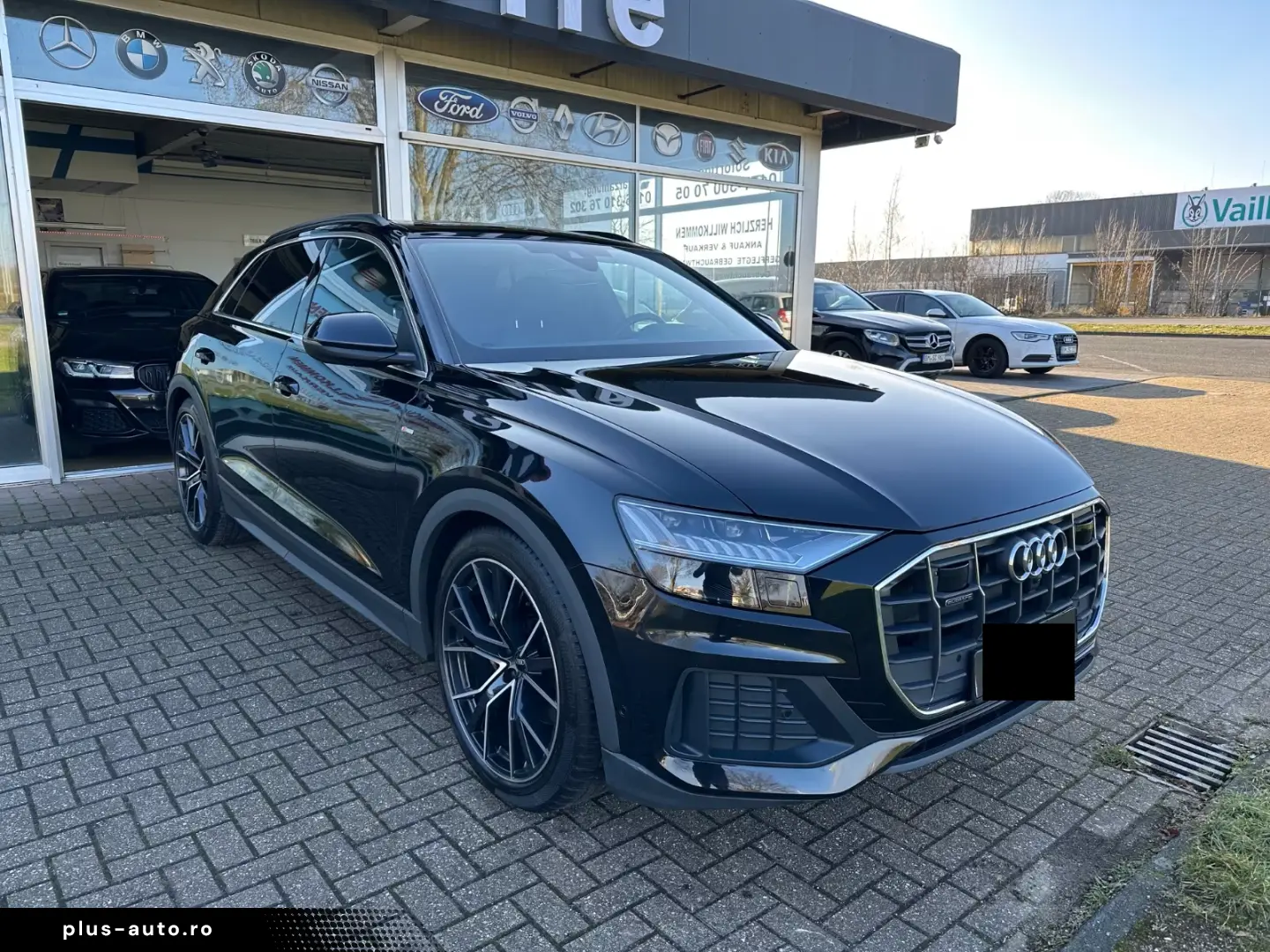 Audi Q8 50 TDI quattro S-LINE MATRIX