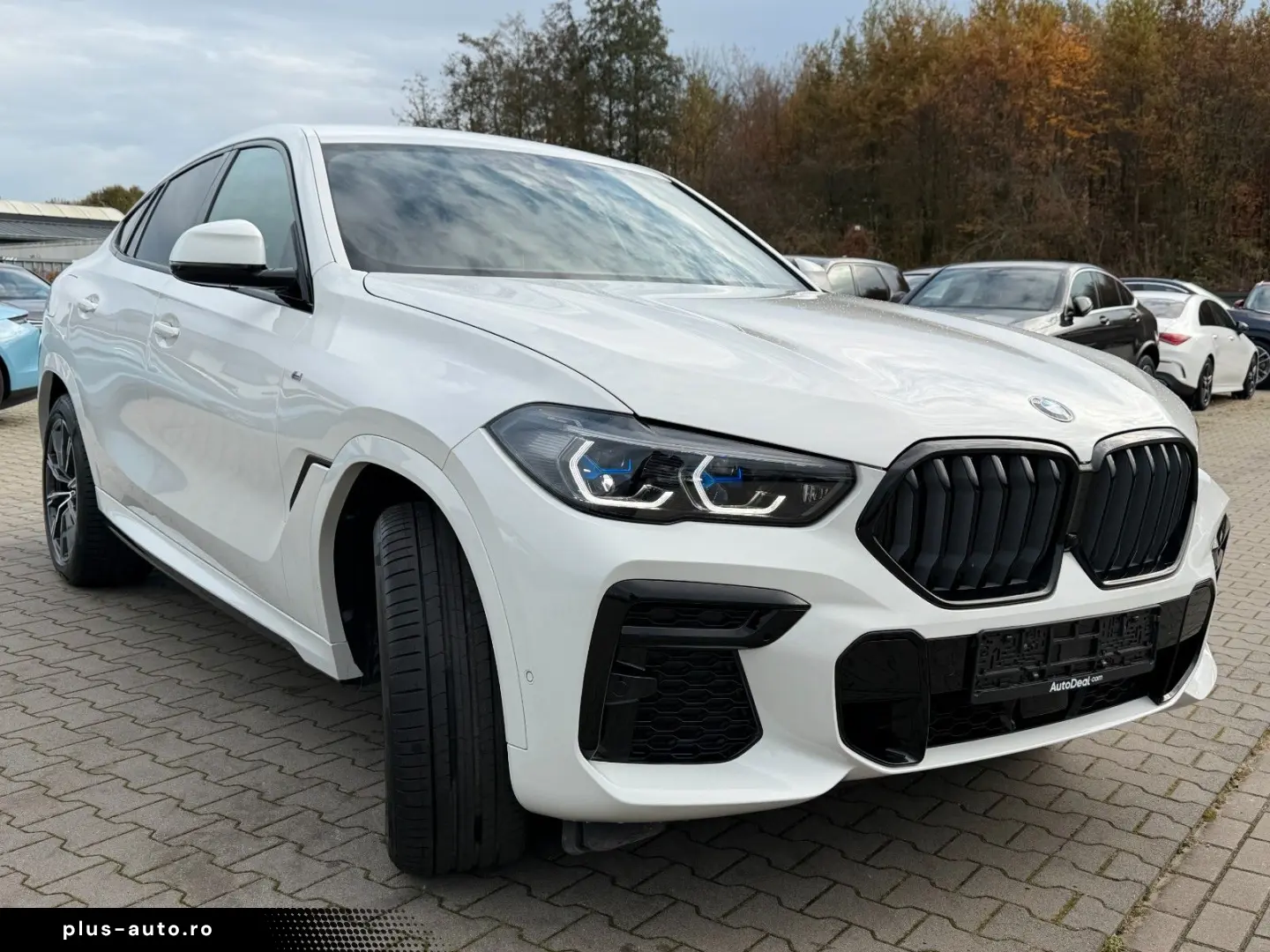 X6 30d xDrive M Sport Laser  Nachlakierungsfrei