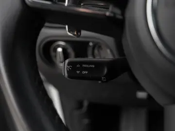 Macan AHK Panorama Dach Rückfahrkamera