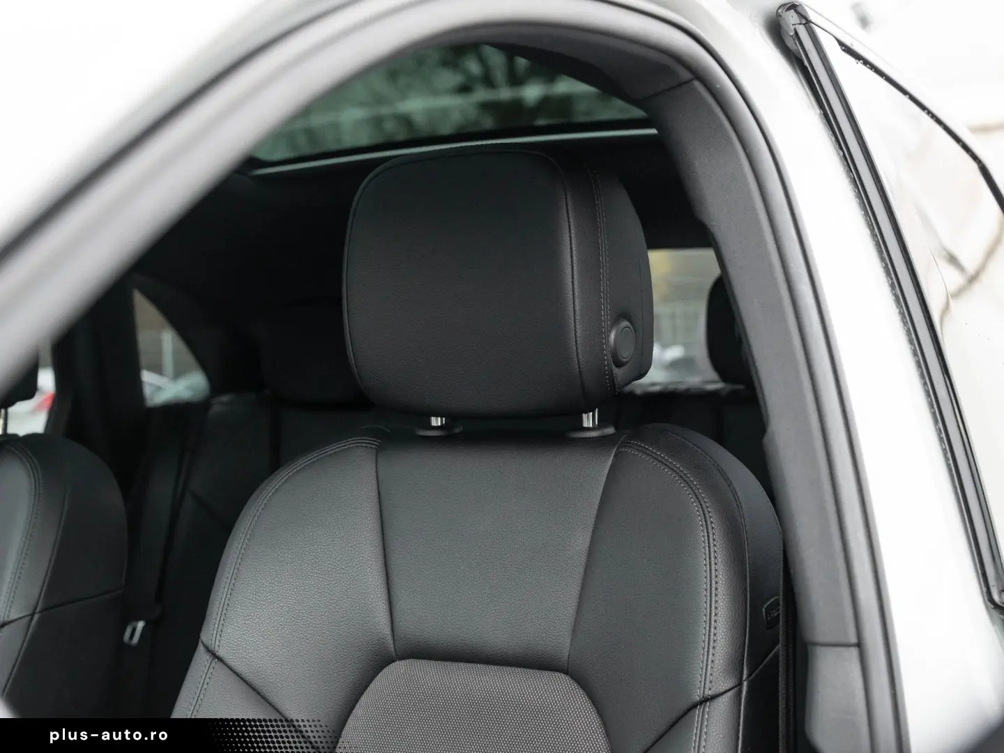 Macan AHK Panorama Dach Rückfahrkamera