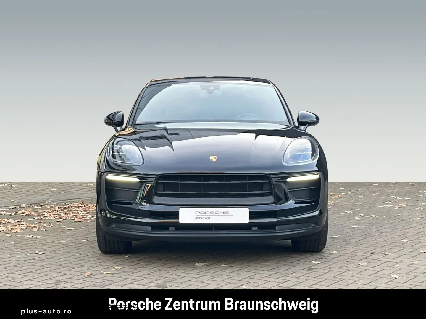 Macan BOSE Sportabgasanlage Panoramadach LED