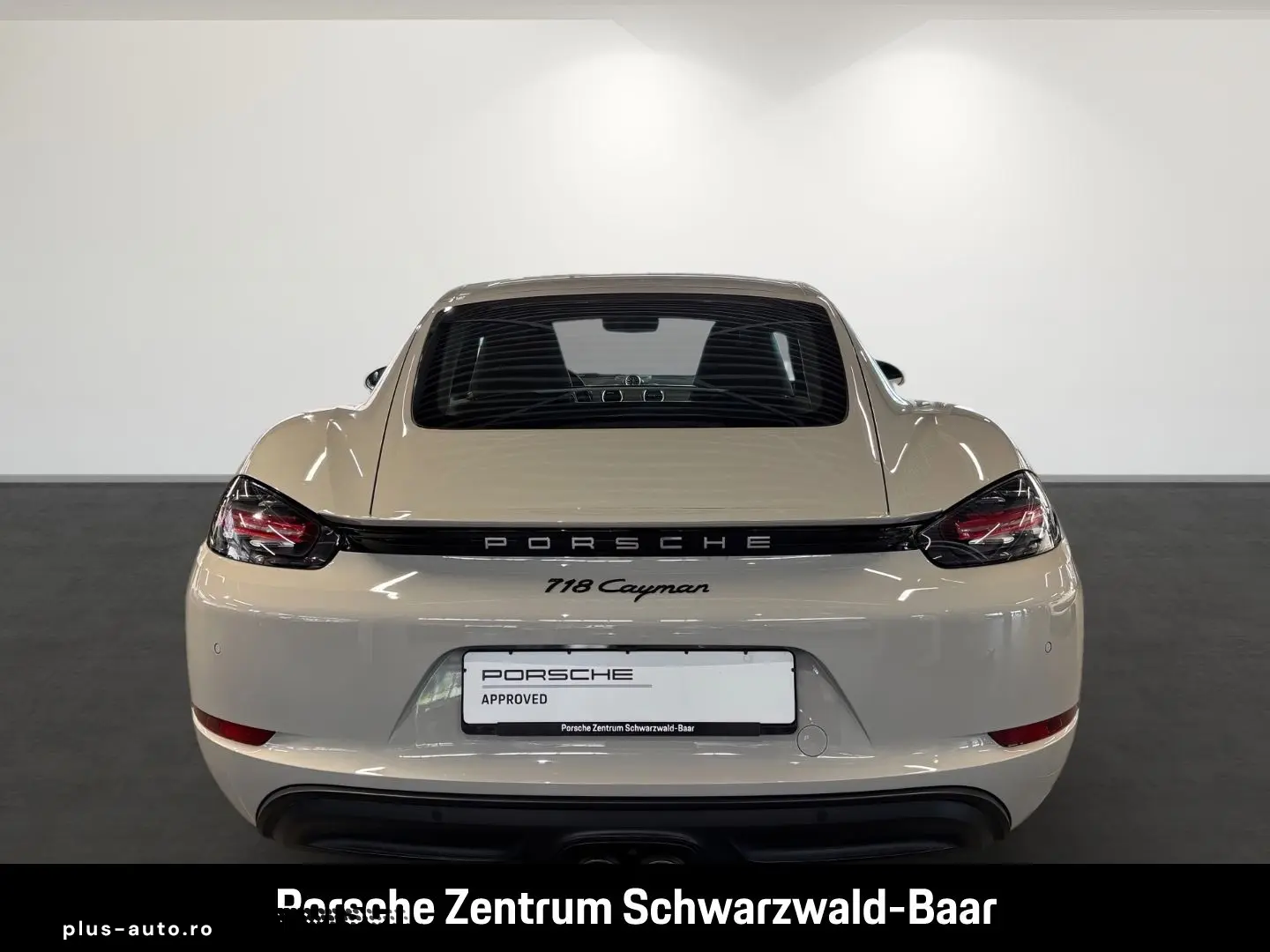 Cayman 718 Style Edition LED Rückfahrkamera