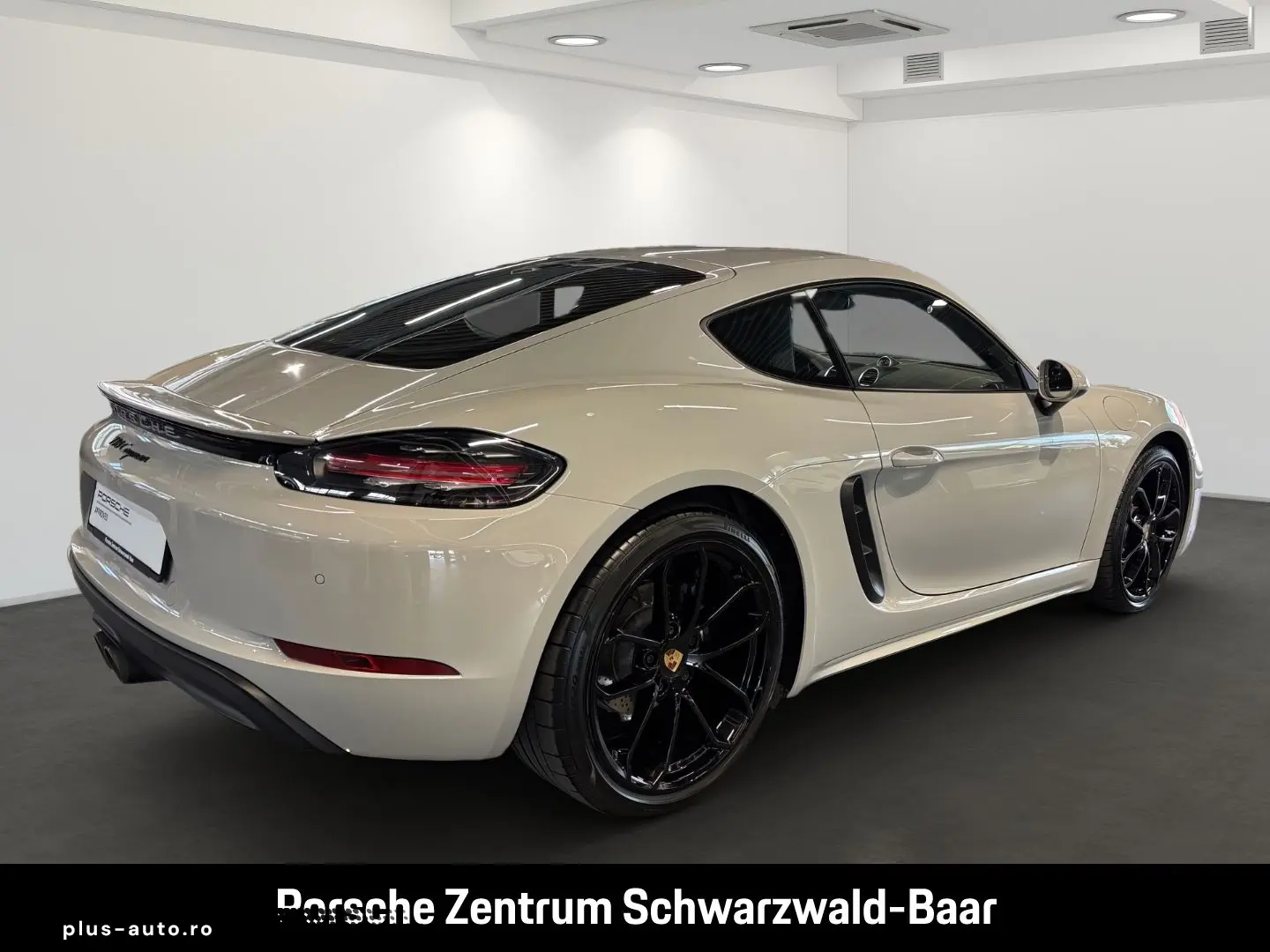 Cayman 718 Style Edition LED Rückfahrkamera