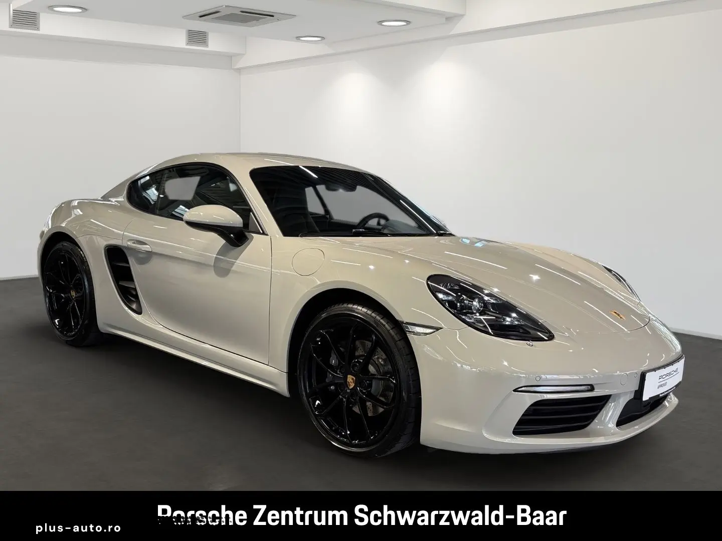 Cayman 718 Style Edition LED Rückfahrkamera