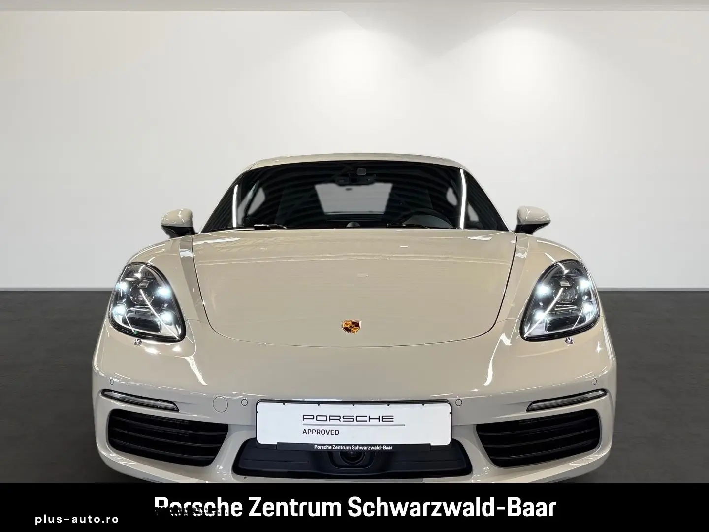 Cayman 718 Style Edition LED Rückfahrkamera