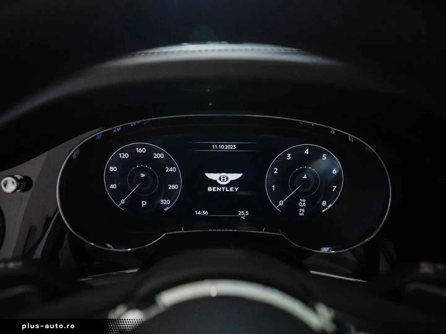 Bentayga 4.0 V8 EWB - Naim Pano