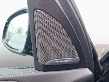 X5 xDr 30d M Sport AHK LCProf Ad.LED DrPro PaPro