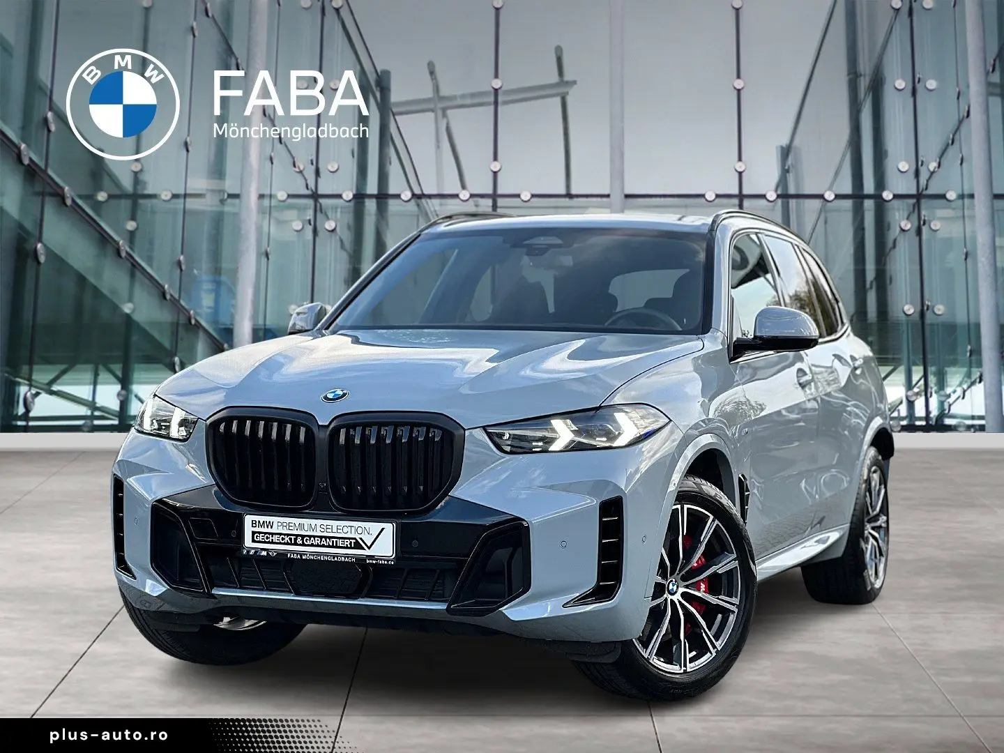 X5 xDrive30d M Sportpaket Gestiksteuerung DAB