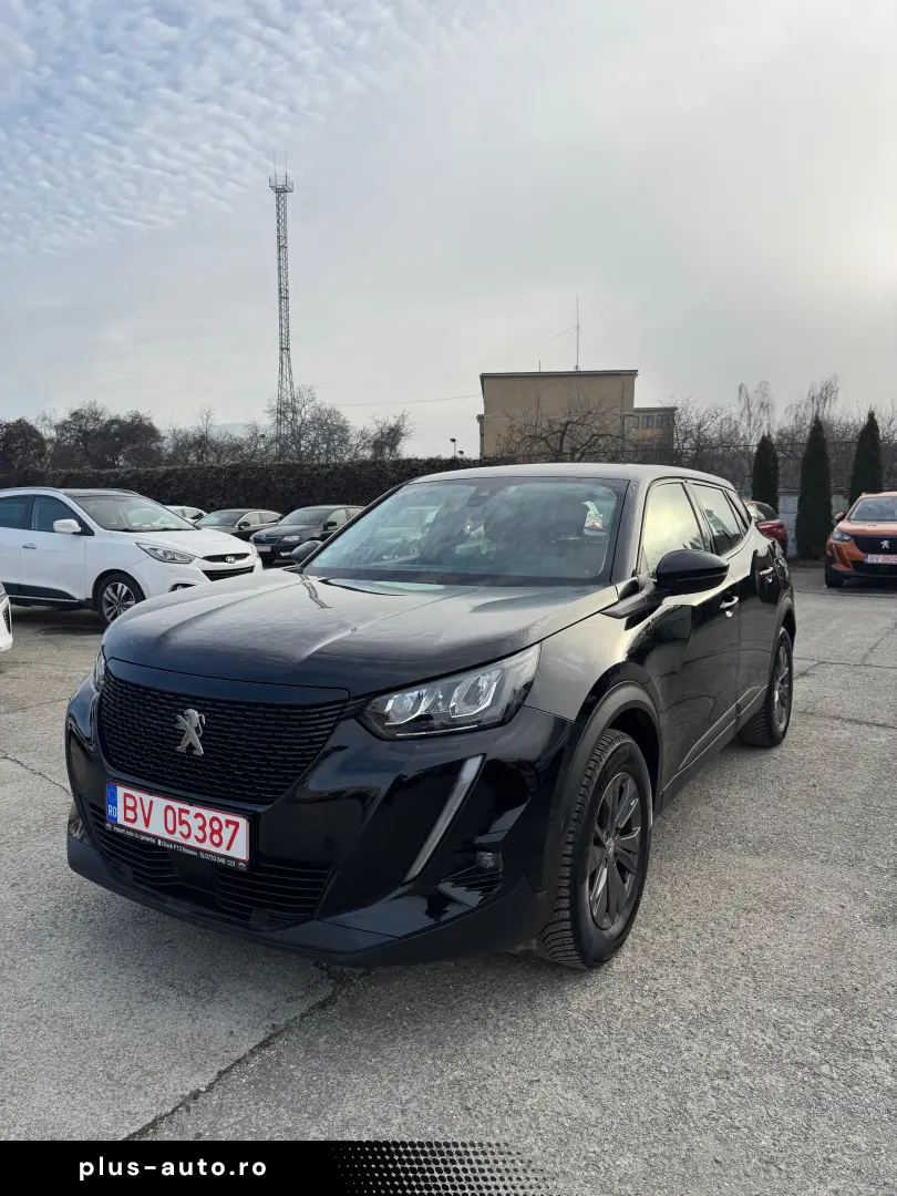 Peugeot 2008 1.2 Pure Tech Active Business